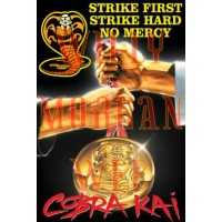 Cobra Kai 1